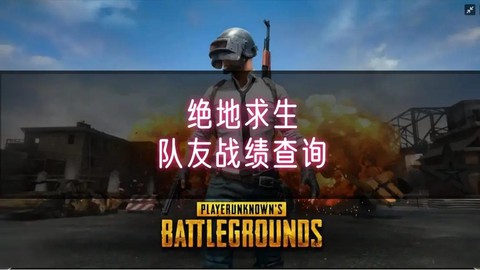 绝地大逃杀怎么看队友[图2]