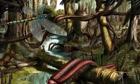 第五纪元是什么纪元[图2]