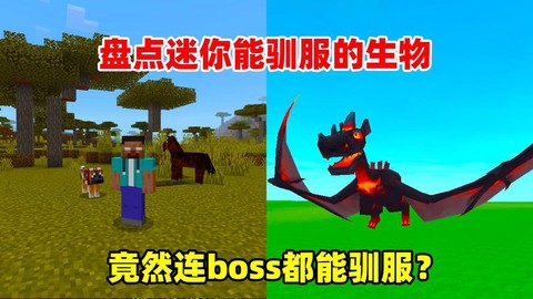 迷你世界能驯服什么[图2]