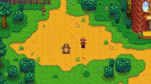 星露谷物语怎么坐骑