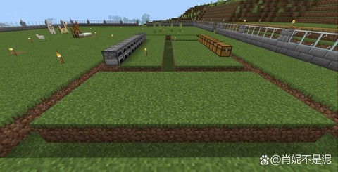 我的世界草地怎么长草