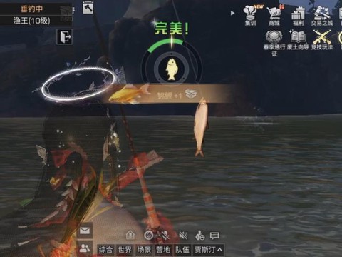 明日之后之后怎么钓鲨鱼