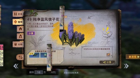 迷你世界风信子怎么种