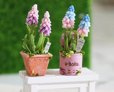 迷你世界风信子怎么种[图1]