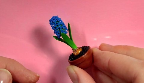 迷你世界风信子怎么种[图2]