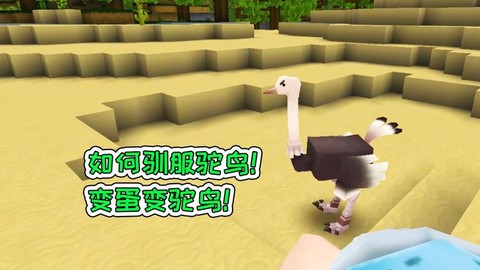 迷你世界野生鸵鸟怎么驯服