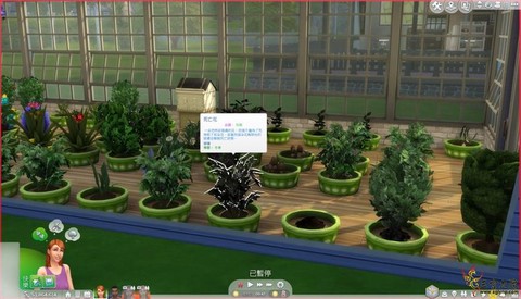 模拟人生4如何接枝[图1]