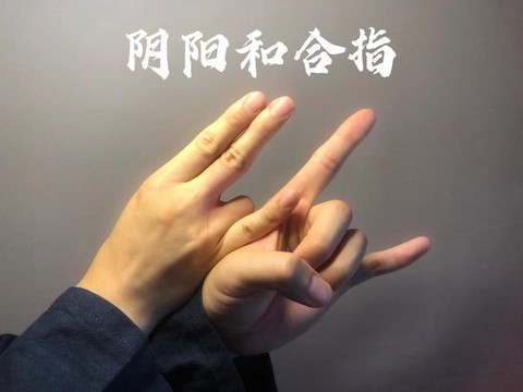 问道手游什么是手指[图1]