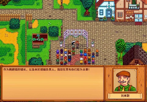 星露谷物语怎么跳过