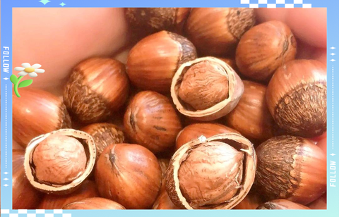 球球大作战榛子怎么得