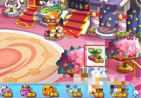 洛克王国怎么查洛克贝