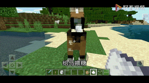 我的世界怎么养殖动物[图2]