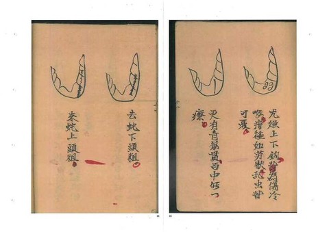 九阴真经怎么看被海捕[图2]