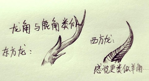 怪物猎人2一角龙怎么打[图2]