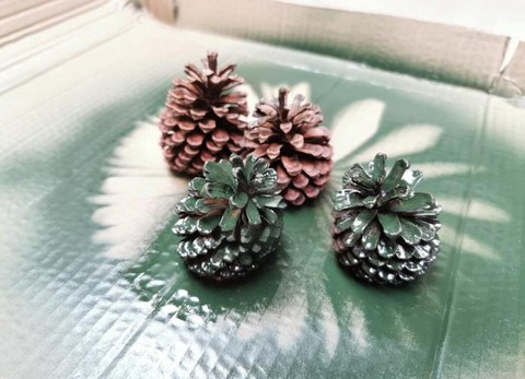 迷你世界松果怎么种植