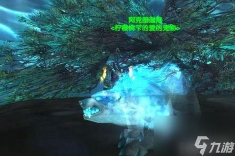 魔兽世界怎么捉宠物[图2]